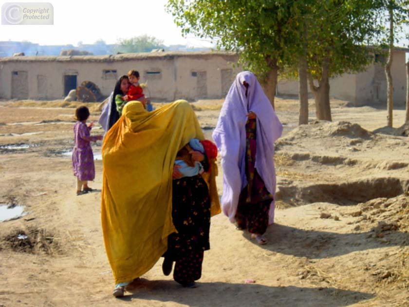 Women in Colored Burkas